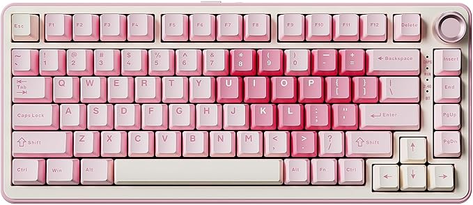 YUNZII B75 PRO Wireless Mechanical Keyboard, 75% Layout by YUNZIIMECHANICALKEYBOARD
