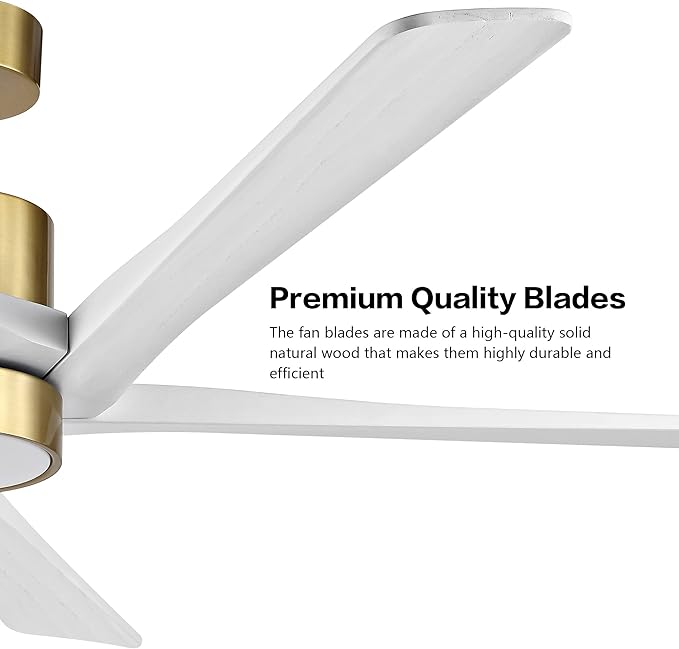 WINGBO 54 Inch DC Ceiling Fan - Image 5