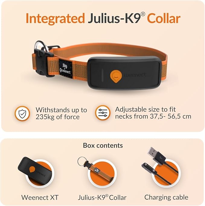 Weenect Dog XT - New GPS Collar - Image 7