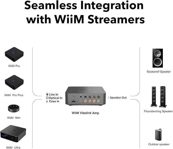 WiiM Vibelink Amp | 100W Power Amplifier - Image 4