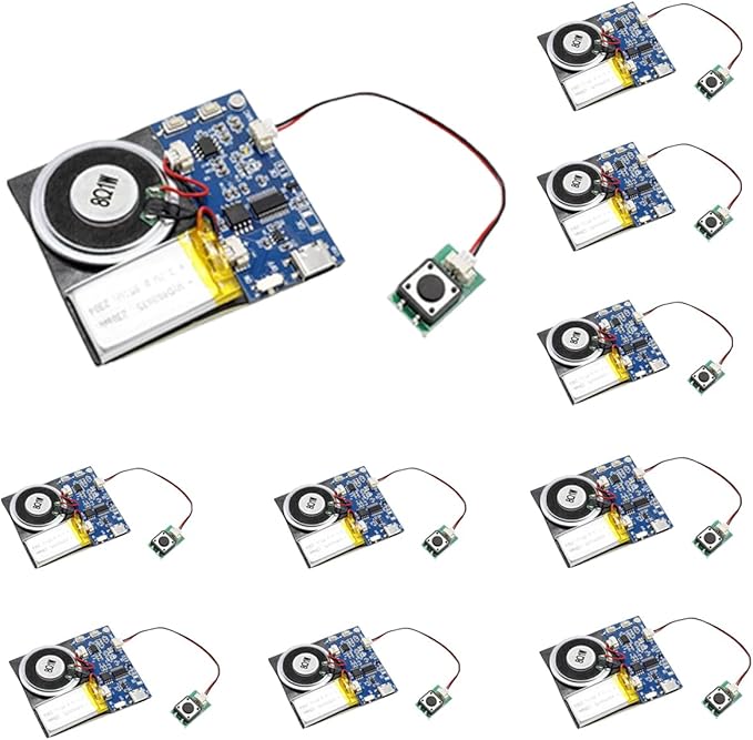 XLW Sound Module, 16MB Push Button Activated Sound Module by XLW