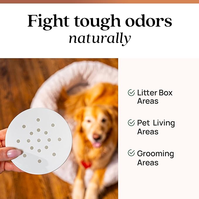 Azuna Pet Odor Eliminator for Strong Odor Gel | Plant Powered Australian Tea - Image 2
