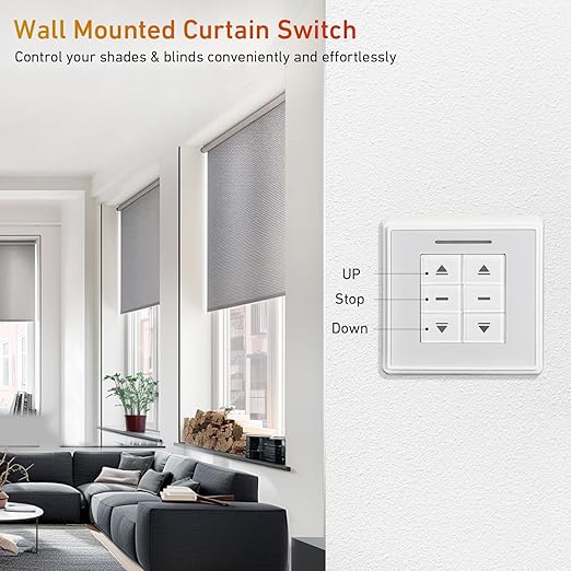 AC228-01 Crystal Style Double Routes Radio Receiver, AC to 24V Motor Switch - Image 4