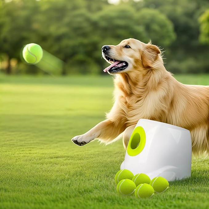ALL FOR PAWS Automatic Ball Launcher for Dogs Interactive Puppy Pet Ball by Home