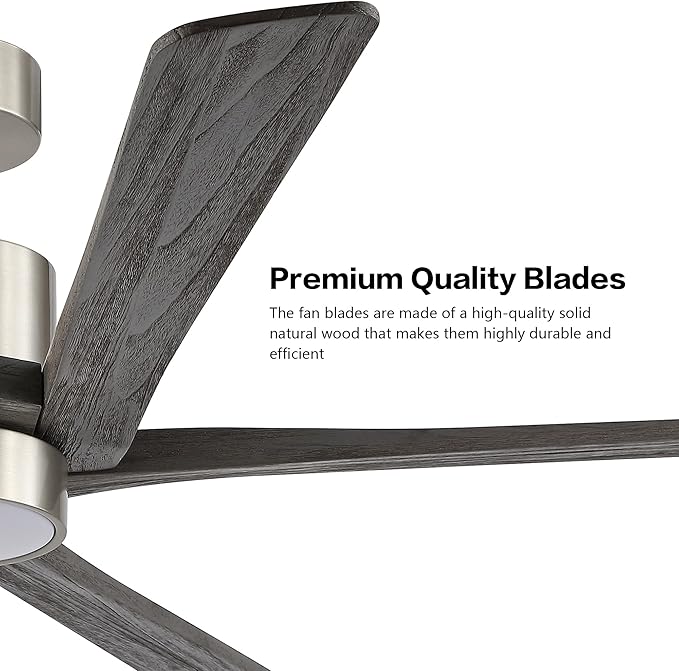 WINGBO 54 Inch DC Ceiling Fan - Image 5