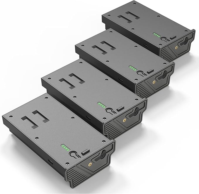 Lesaps 4Pack Rechargeable Reveal Lipo Lithium Battery Pack by Lesaps