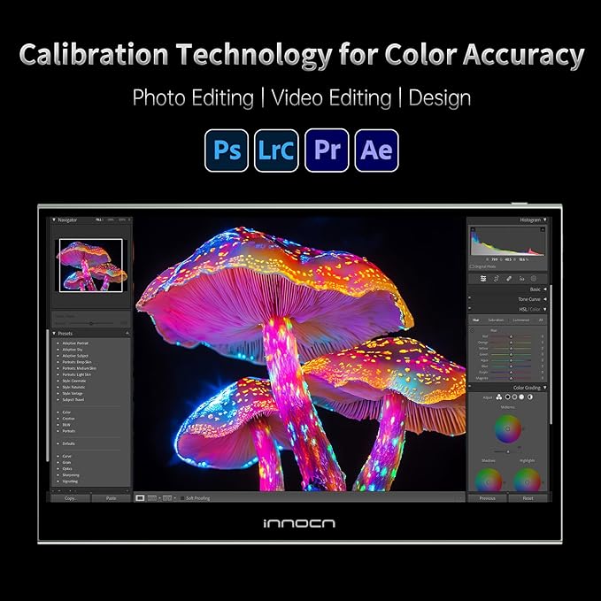 INNOCN 15.6" Portable Monitor OLED Touch Second Screen - Image 3
