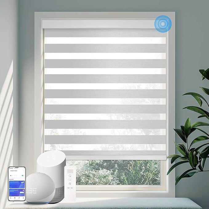 COOLWINDS Motorized Zebra Blinds by Home