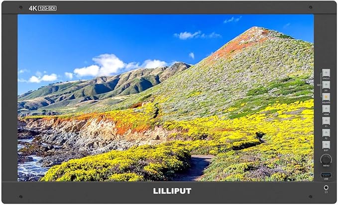 LILLIPUT 17.3" Q17 FHD PRO SDI Filmmaking Monitor 3D Lut HDR - Image 3