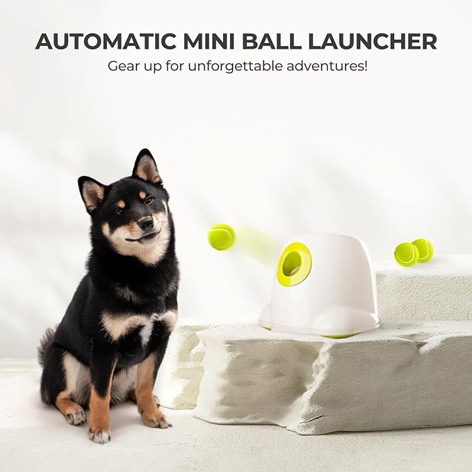 ALL FOR PAWS Automatic Ball Launcher for Dogs Interactive Puppy Pet Ball Indoor - Image 4
