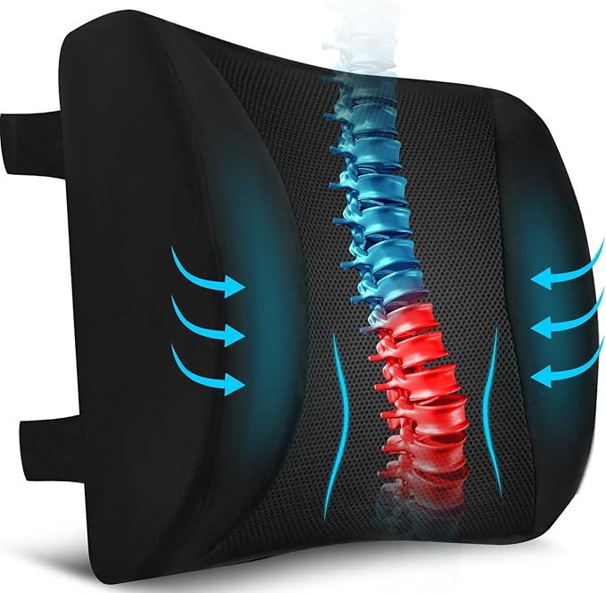 Niceeday Lumbar Support Pillow for Office Chair Car, Gaming Chair Lower Back by NICEEDAYBRAND