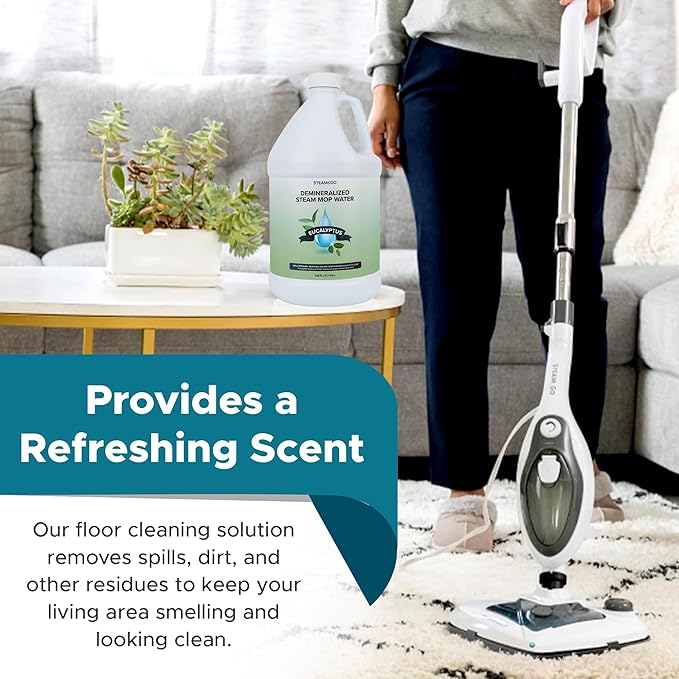 Steam & Go Demineralized Water Cleaning Solution - Image 4