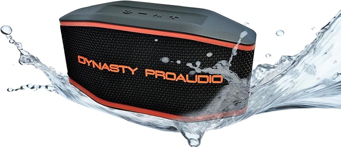 DYNASTY PROAUDIO SB-108 Portable Bluetooth 5.3 Speaker - Image 2
