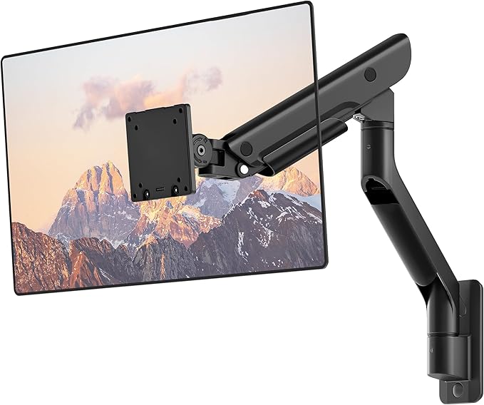 monTEK Heavy-Duty Single Monitor Wall Mount by monTEK