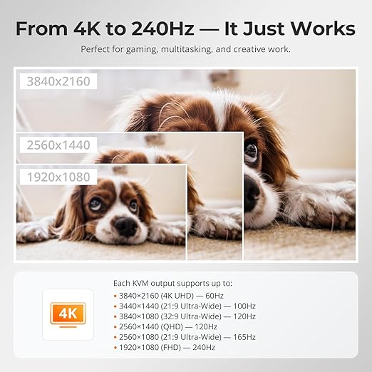 TESmart HDMI KVM Switch 2 Monitors 2 Computers 4K@60Hz, USB 2.0, Dual Monitor - Image 5