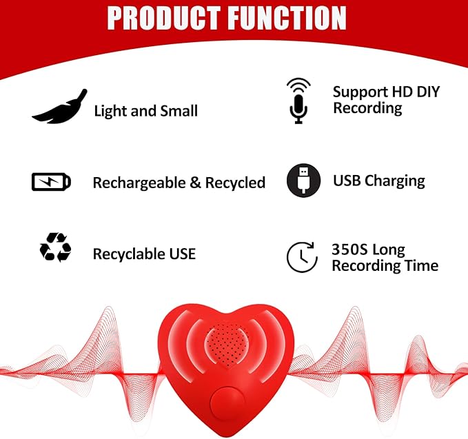 XLW Voice Recorder, 350s Voice Box - Image 6