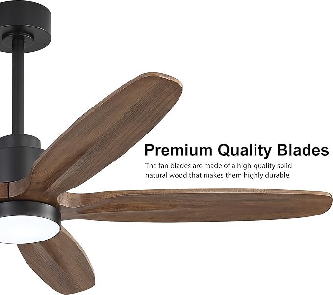 WINGBO 54" Ceiling Fan with Light - Image 5
