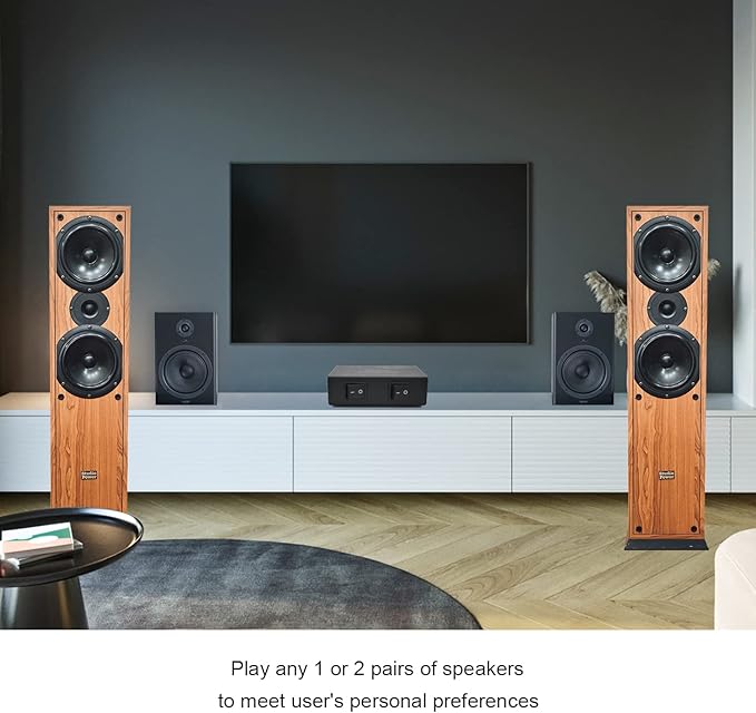 SENWIKATIN 2-Way Speaker Selector, Passive 2 Zone Distribution Box 150W / - Image 3
