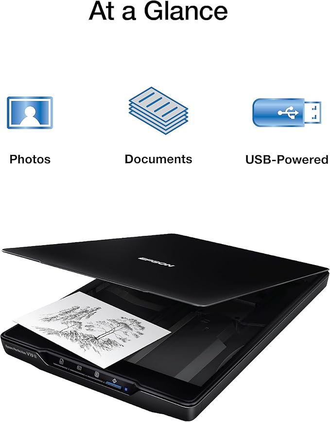 Epson Perfection V19 II Color Photo and Document Flatbed Scanner - Image 2