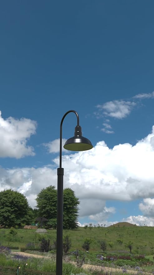 Steel Lighting Co. Hawthorne Light | Outdoor Pole Top Mounted | 8" Dome | - Image 3