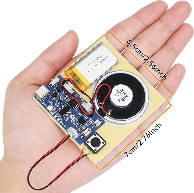 Sound Recorder Module DIY Music Voice Recording Module Chip - Image 9