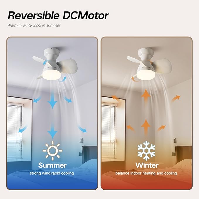 Myleoron 20 Inch Ceiling Fan - Image 5