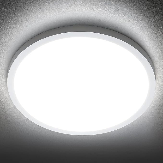 SunRider LED Flush Mount Ceiling Light Fixture, 6000K Cool White, 12 Inch 24W by SunRider