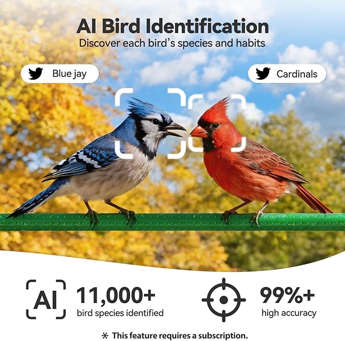 Dzees Window Bird Camera with Strong Suction Cups, 2K HD WiFi Bird Feeder - Image 6