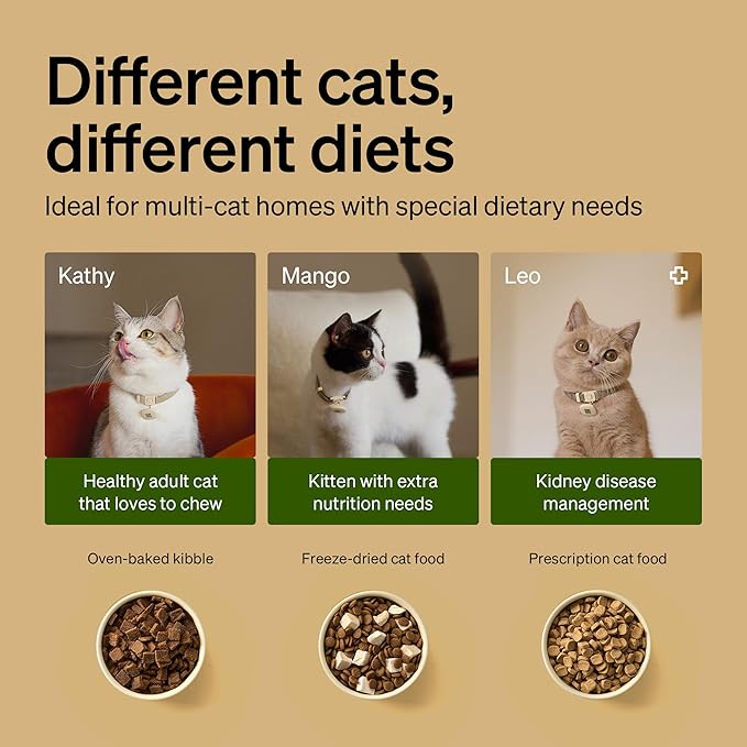 PETLIBRO RFID Cat Feeders for 3 Cats, Collar Tag for Personalized Meals - Image 5
