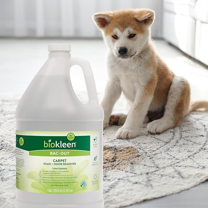 Biokleen Bac-Out Pet Stain Remover - Image 7