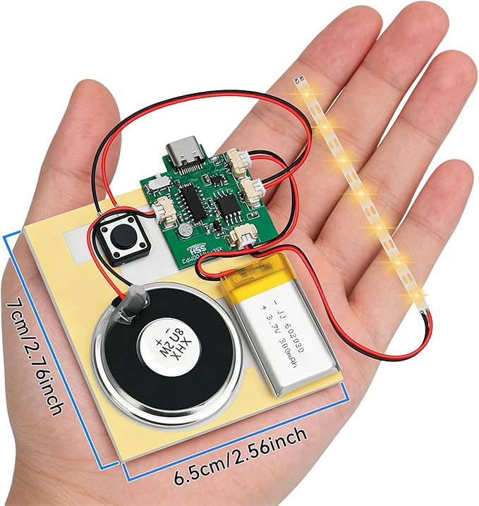 1PCS Customize Recording Module - Image 9