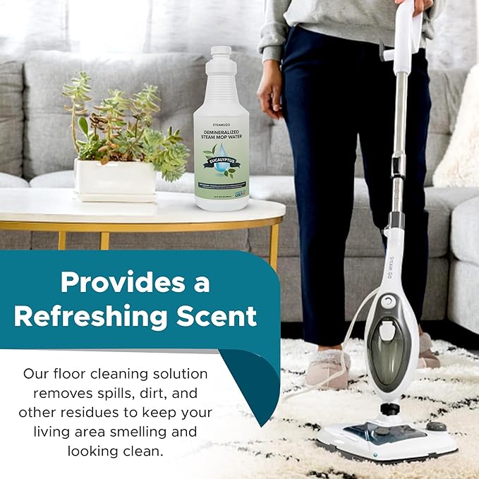 Steam & Go Demineralized Water Cleaning Solution - Image 4