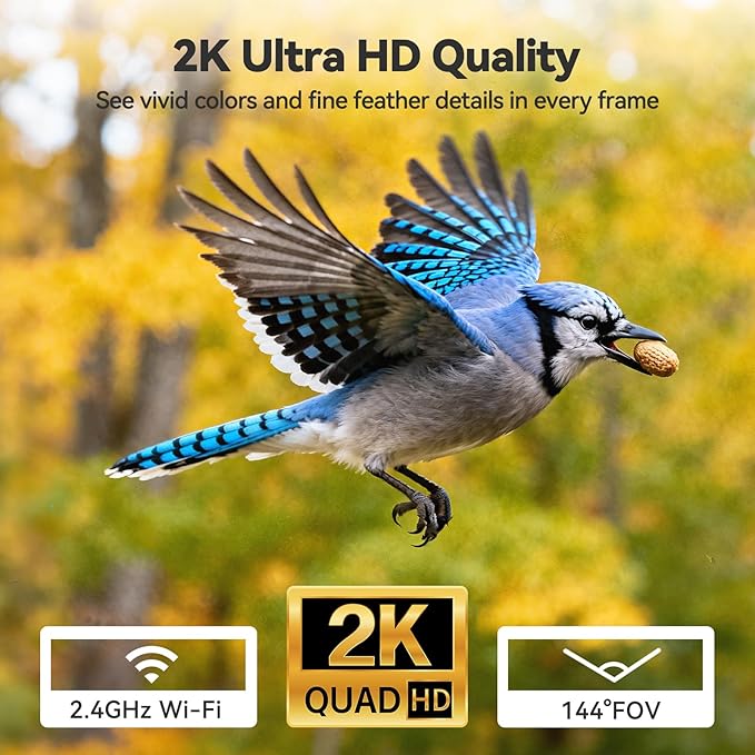 Dzees Smart Window Bird Feeder - Image 3
