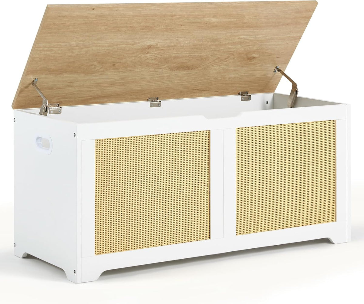 erommy 39.4" storage chest with 2 safety hinges, main product view
