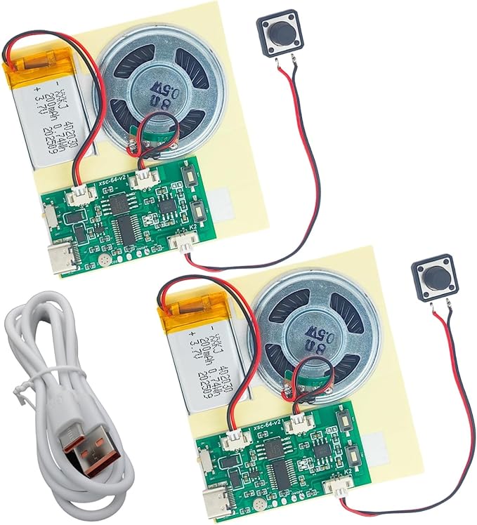 2pcs DIY Audio Recorder and Player kit, Record standalone or Download Music via by MUXWELL