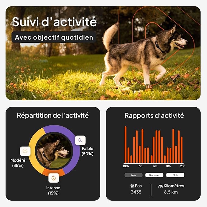 Weenect Dog XT - New GPS Collar - Image 4