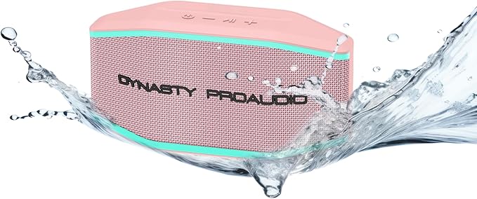 DYNASTY PROAUDIO SB-108 Portable Bluetooth 5.3 Speaker - Image 2