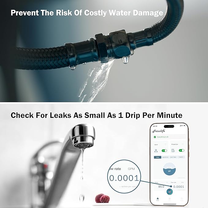 Frizzlife LP365 1.25-Inch Smart Water Monitor and Automatic Shutoff - Image 7