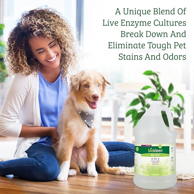Biokleen Bac-Out Pet Stain Remover - Image 3