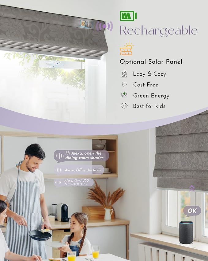 Graywind Smart Roman Shades Compatible - Image 3
