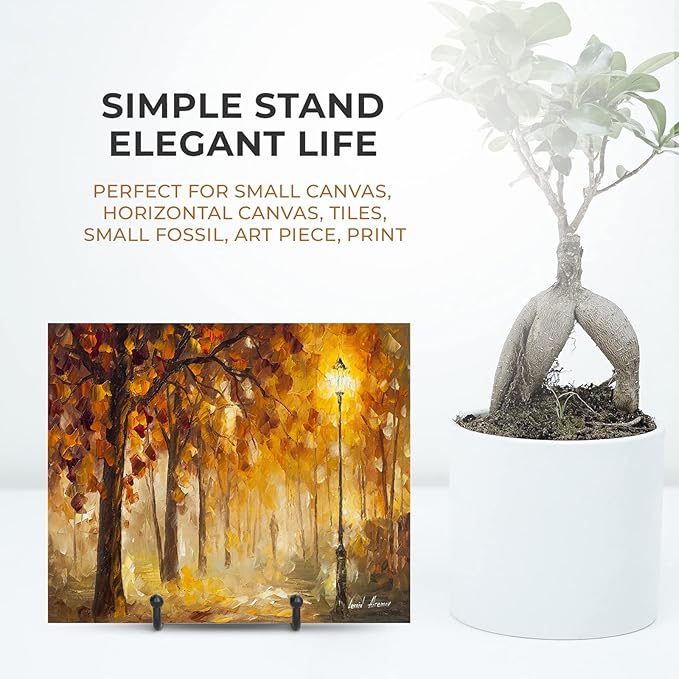 TR-LIFE 4 Pack 3 Inch Small Display Stands - Image 5