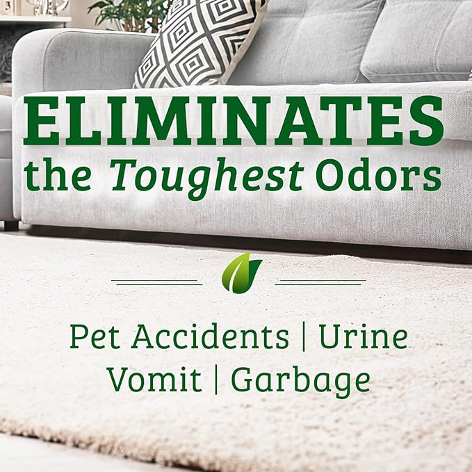 Biokleen Bac-Out Pet Stain Remover - Image 2