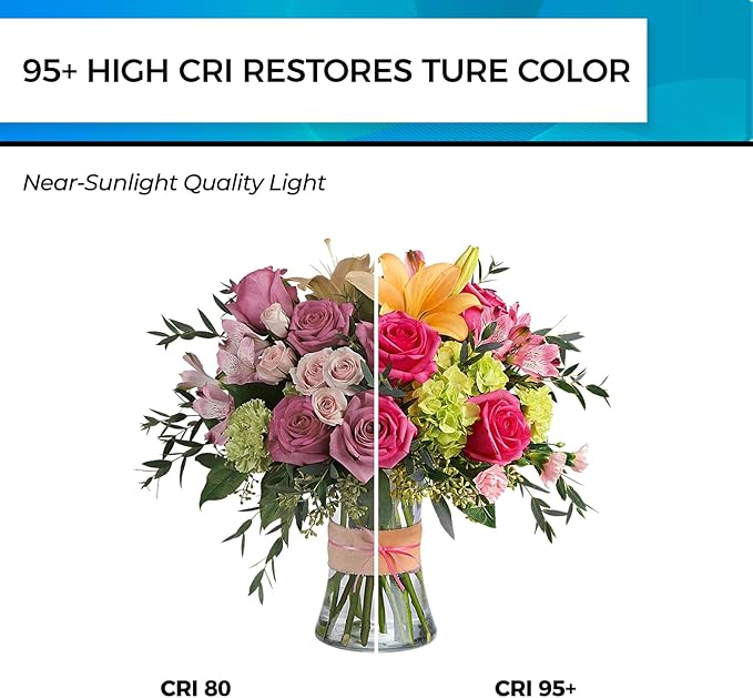 Hizashi LED Edison Bulbs, Equivalent 60W, Dimmable E26 LED Bulb, Daylight 5000K - Image 5