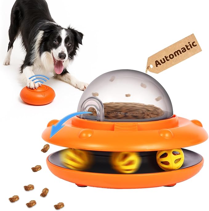 Interactive Dog Ball Track Toys by JoyBruko
