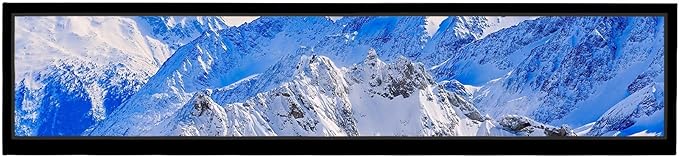 VSDISPLAY 24 Inch Ultra Digital Signage 1920x360 Resolution IPS Display by VSDISPLAY