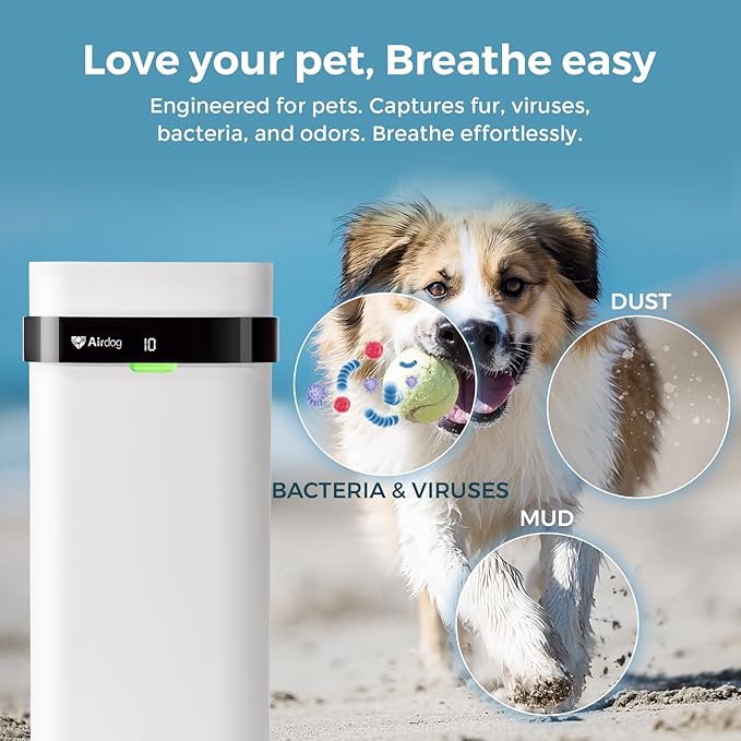 Airdog Air Purifier for Homes - Image 5