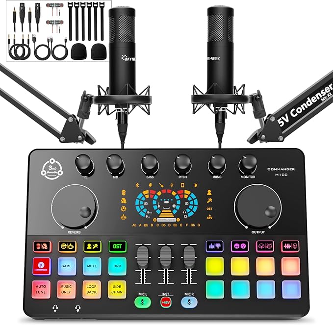 Podcast Equipment Bundle for 2, Audio Interface by Hayner-Seek