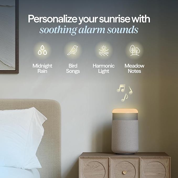 BLUEAIR Purifier for Bedroom - Image 6