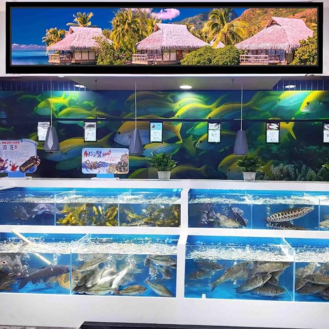 VSDISPLAY 24 Inch Ultra Digital Signage 1920x360 Resolution IPS Display - Image 8
