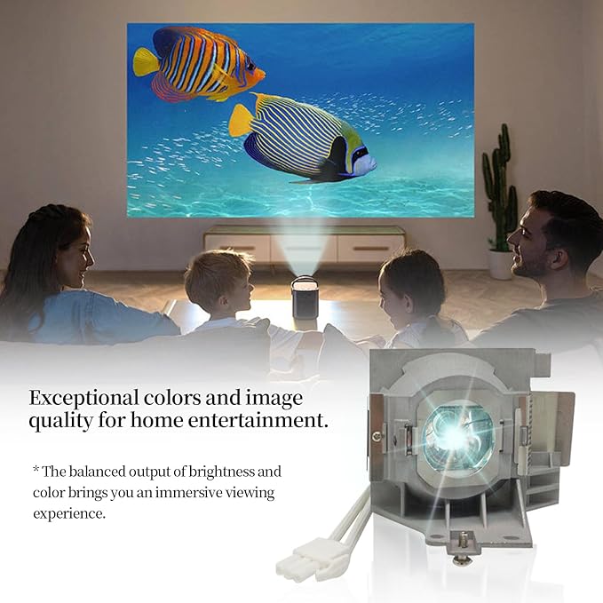 SORNEICDR RLC-093/RLC-092 Replacement Projector Lamp Bulb Compatible - Image 5